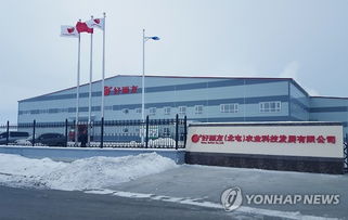 好麗友在華建成土豆產(chǎn)品原料工廠，技術(shù)進(jìn)出口布局深化